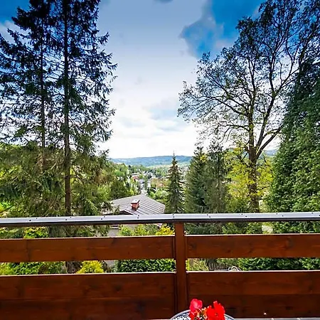 Melisa 3*