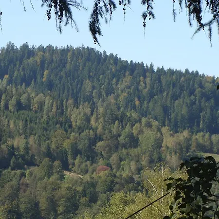 Alojamento de Acomodação e Pequeno-almoço Melisa 3*